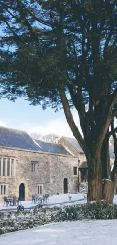 Historic castle with majestic tree in a serene winter setting.