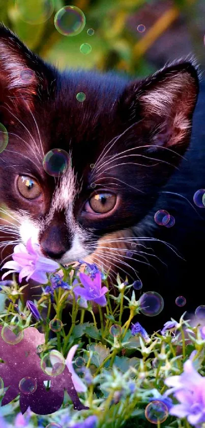 Black and white kitten among purple flowers.