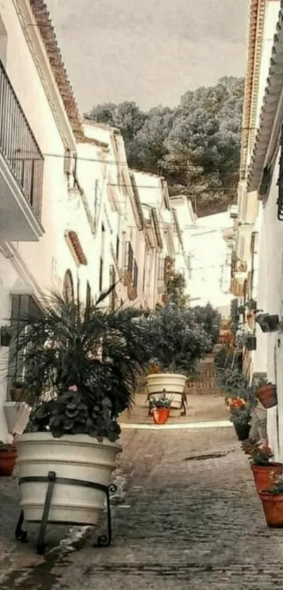 Beautiful Mediterranean alleyway with terracotta pots.