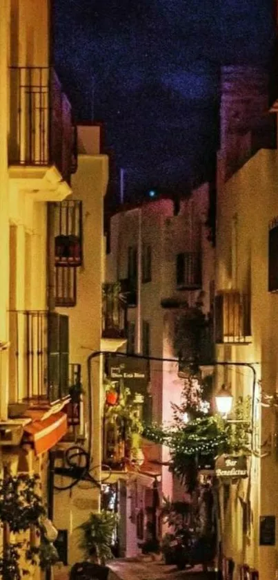 Charming European street at night with warm lighting and plants.