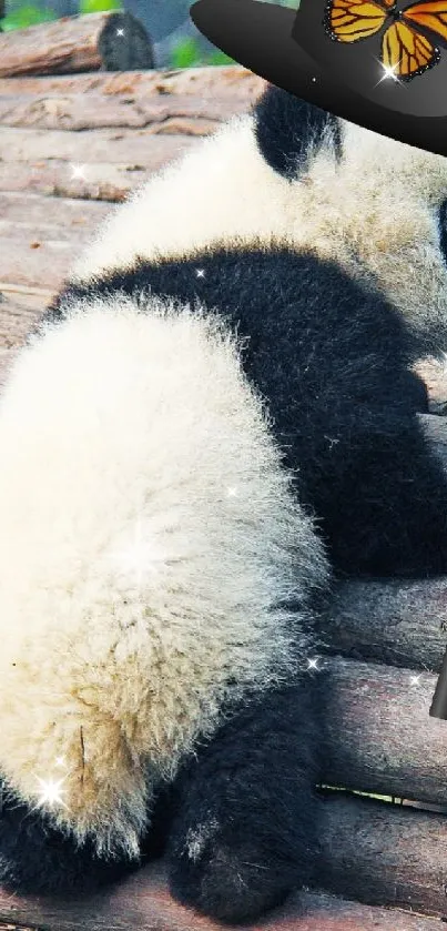 Panda wearing a hat with butterfly and holding a magic wand, on a wooden platform.