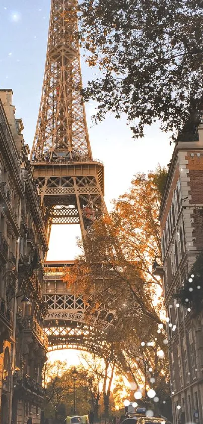 Eiffel Tower with autumn leaves on a Paris street.