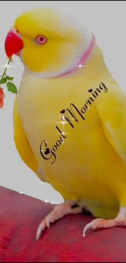 Yellow parrot with flower and Good Morning text on a mobile wallpaper.