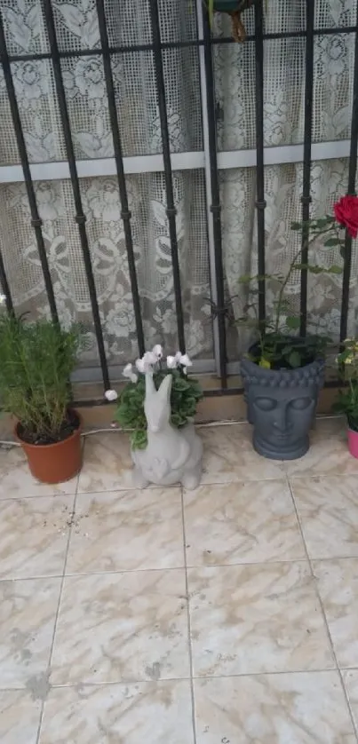 Charming patio garden with potted plants.