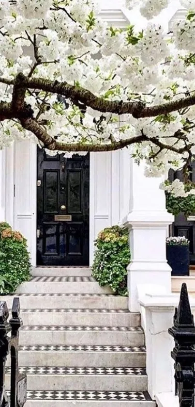 Charming entryway with lush white blossoms and classic black door.