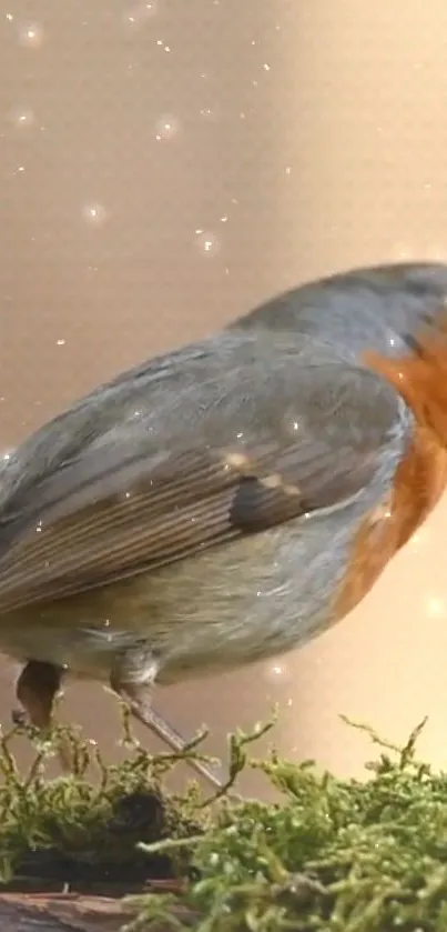 Charming robin perched among soft glowing lights on a tranquil background.