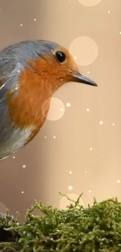 Charming robin on mossy branch with bokeh background.