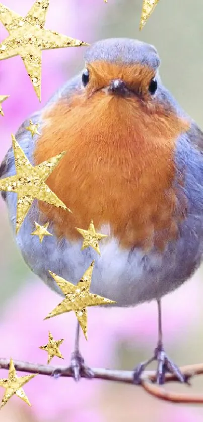 A cute robin perched with golden stars on a soft nature background.