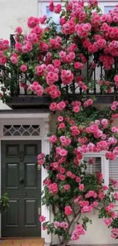 House facade with pink roses climbing over the entrance.