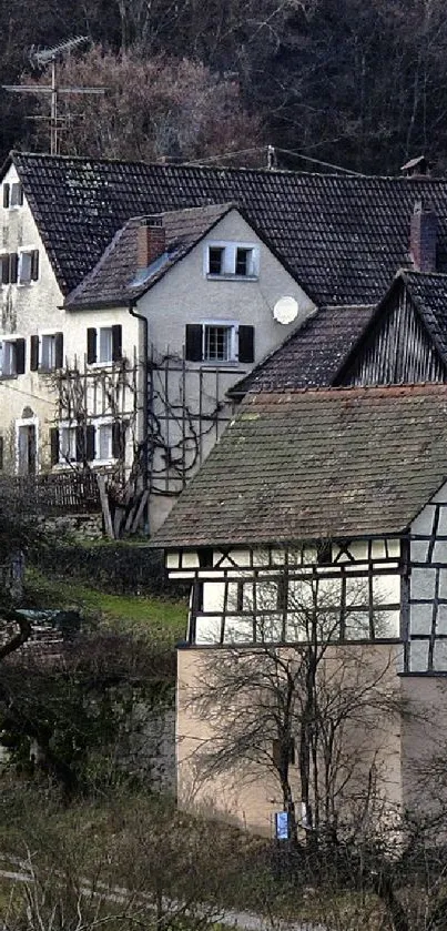 Rustic countryside homes in a serene village setting mobile wallpaper.