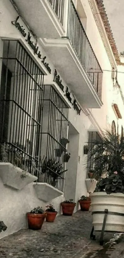 Rustic street image with terra-cotta pots and iron balconies.