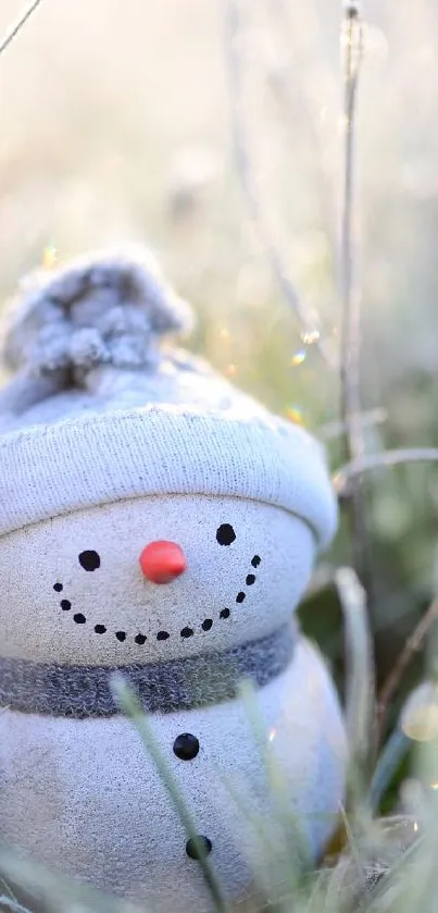 Cheerful snowman in grassy winter scene with frosty background.