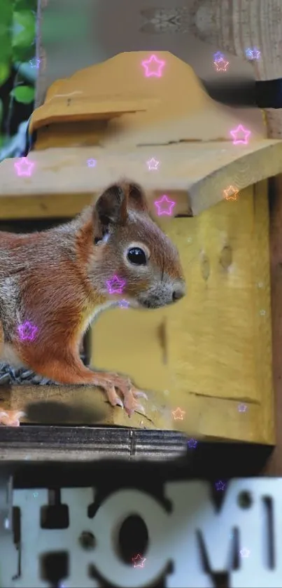 Whimsical image of a squirrel on a birdhouse with colorful stars.