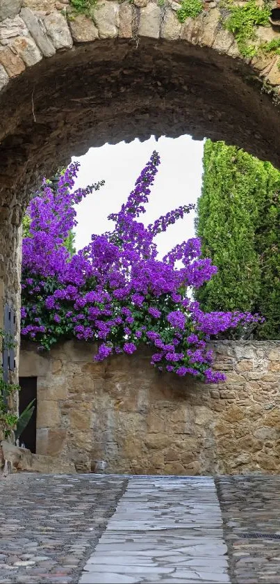 Stone archway with purple flowers in a tranquil village setting.