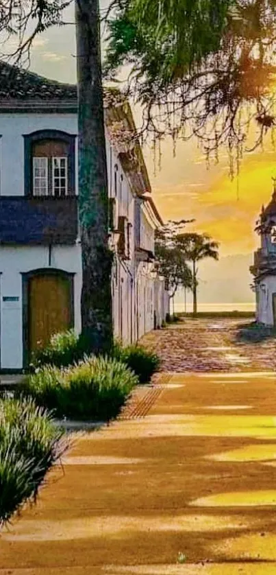 Historic street bathed in golden sunset with lush greenery.