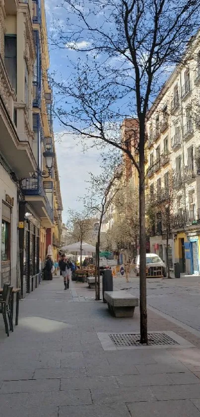 Charming city street with shops and trees in sunlight.