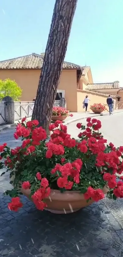 Charming village street with red flowers and houses, perfect for mobile wallpaper.