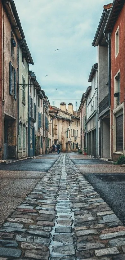 Vintage street view with charming architecture and cobblestones.