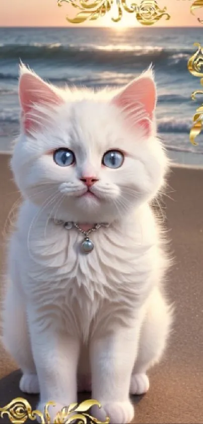 Charming white cat with blue eyes sitting on a beach with a sunset background.