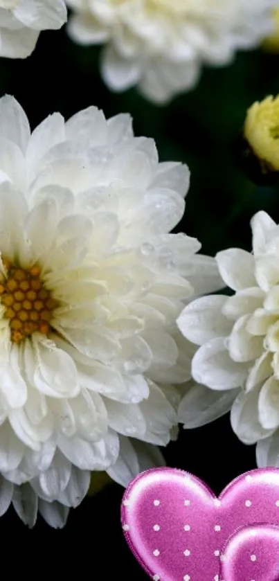 Elegant white flowers with a pink heart accent in the corner