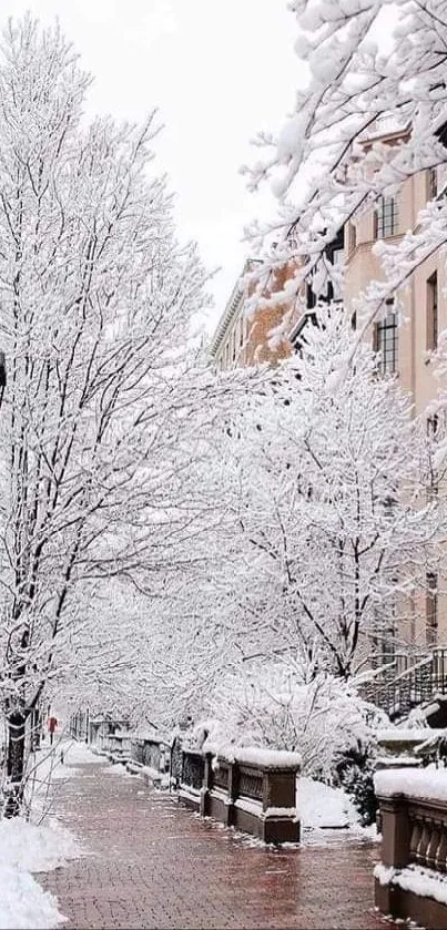 Snow-covered street with classic architecture in winter.