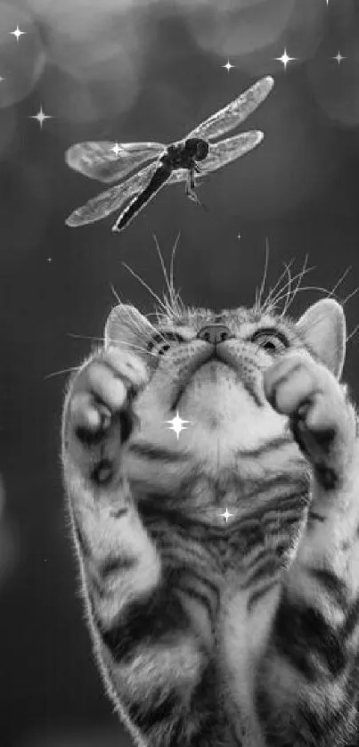 Black-and-white wallpaper of a cat reaching for a dragonfly.