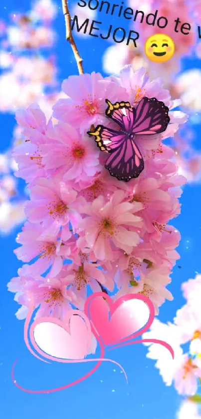 Pink cherry blossoms and butterfly with blue sky.