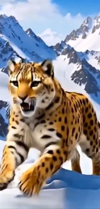 Cheetah prowling through snowy mountains.