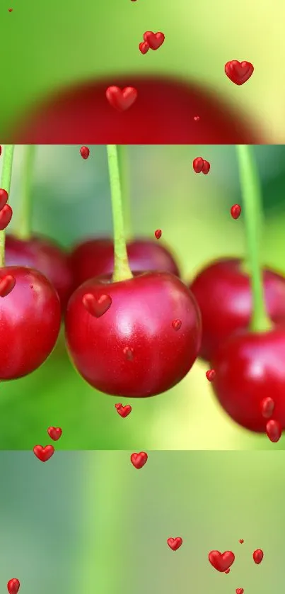 Vibrant red cherries with heart overlays on a green background.