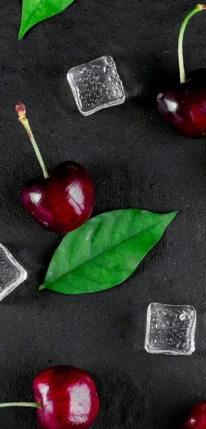 Cherries and ice cubes on black background with green leaves.