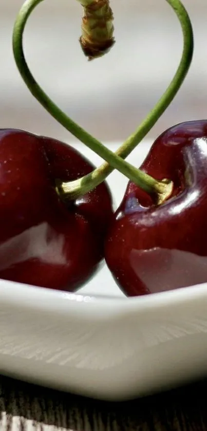 Cherries intertwined in heart shape on a white dish.