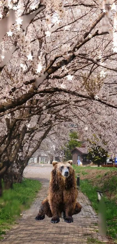 Bear under cherry blossom trees on a path.