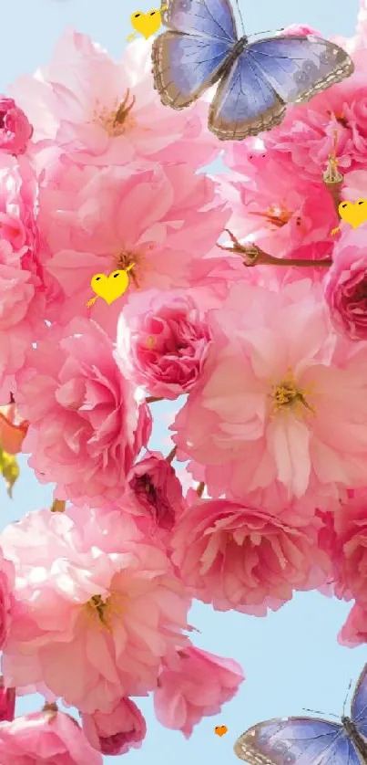 Cherry blossoms with blue butterflies on a light blue sky background.