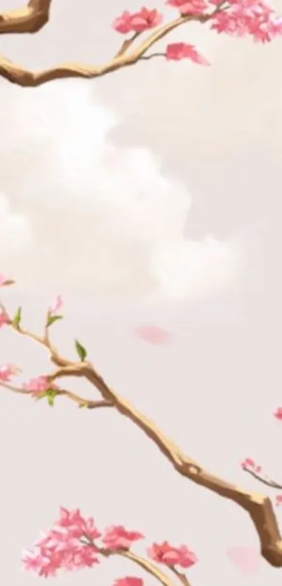 Cherry blossom branches with pink flowers on a soft pastel background.