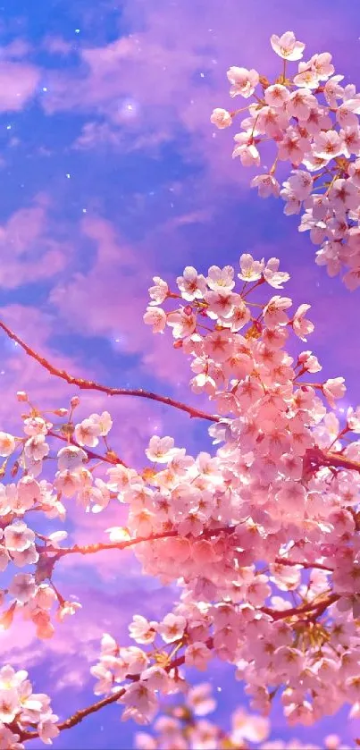 Cherry blossoms against a pink and purple sunset sky.