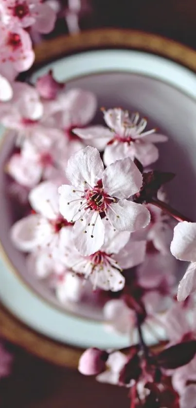 Beautiful cherry blossom wallpaper with delicate pink flowers on a subtle background.