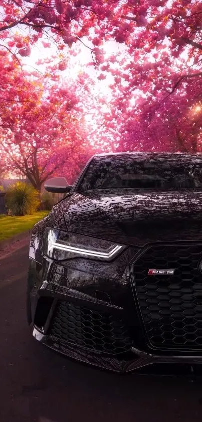 A black car under vibrant cherry blossoms.