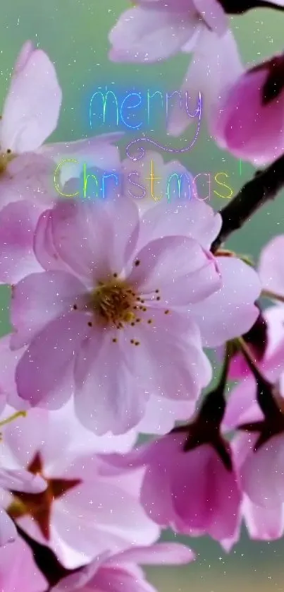 Pink cherry blossoms with 'Merry Christmas' message on phone wallpaper.