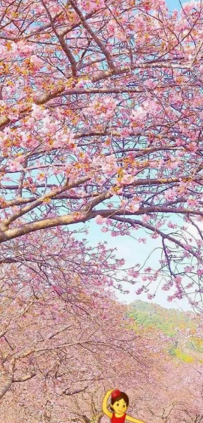 Cherry blossom trees with a dancer in red.