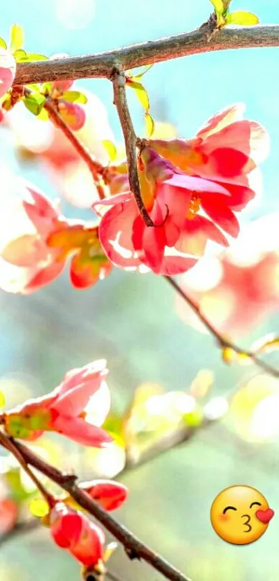 Cherry blossoms with emoji on a branch, set against a light blue sky.