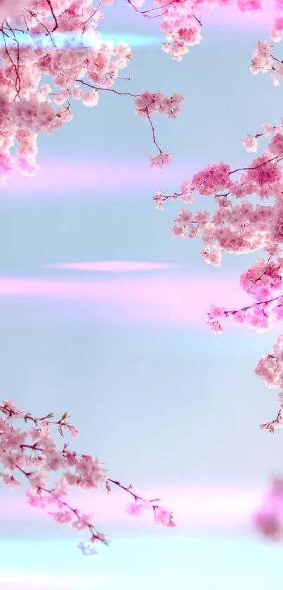 Mobile wallpaper with pink cherry blossoms and pastel sky.