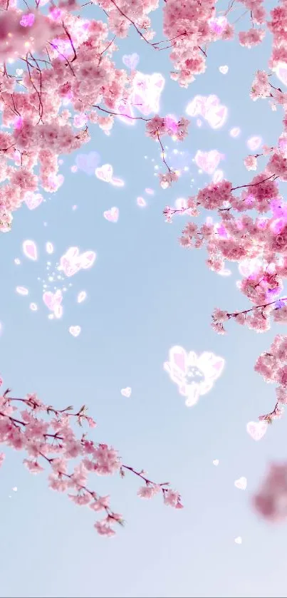 Cherry blossoms with hearts on a blue sky background.