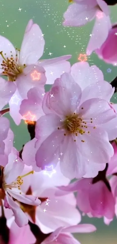 Cherry blossoms with starry accents on a green background.