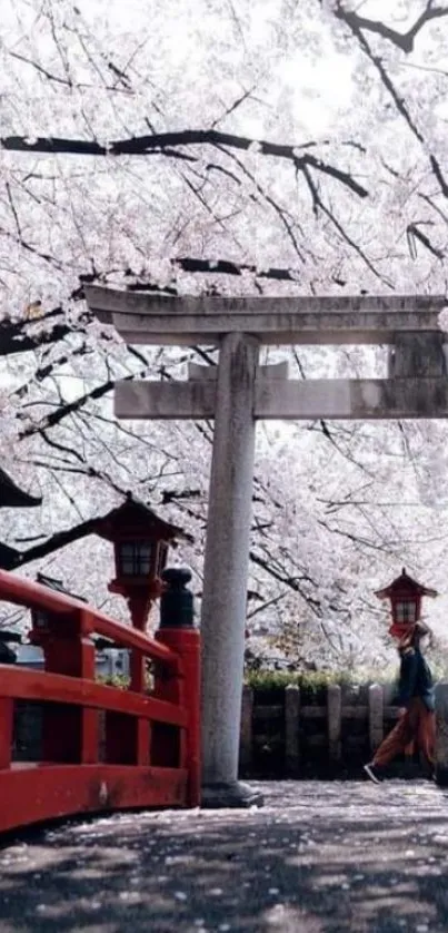 Japanese cherry blossom scene with torii gate and red bridge.