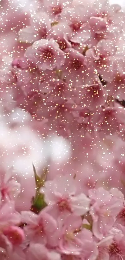 Pink cherry blossoms with glitter detail.