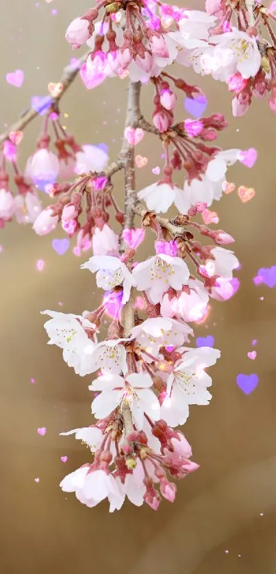 Cherry blossoms with heart accents on a soft background.