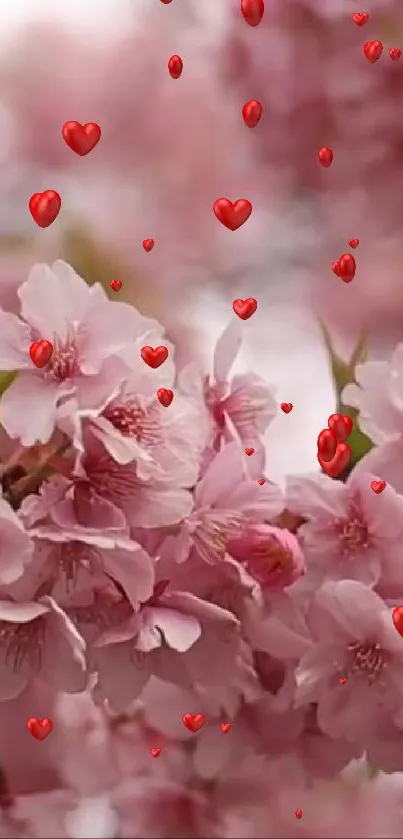 Cherry blossom wallpaper with falling red hearts on a mobile screen.