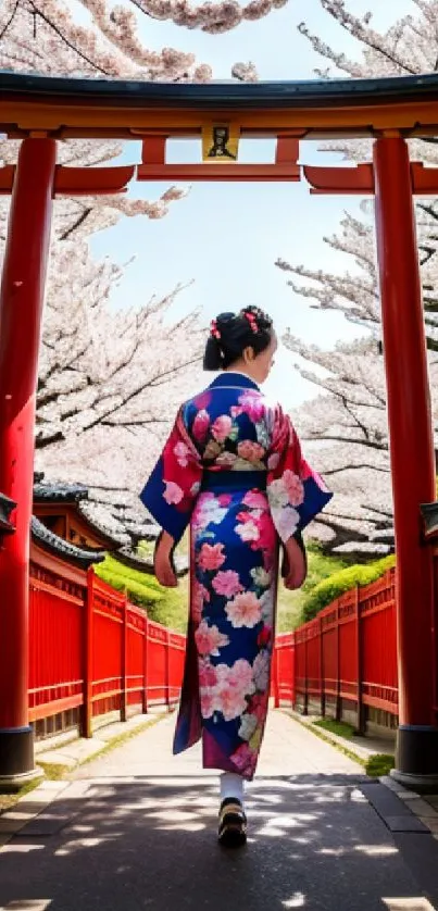 Japanese woman in kimono walking under cherry blossoms.