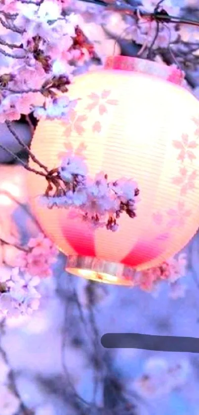 Cherry blossom lantern glowing amidst delicate flowers.