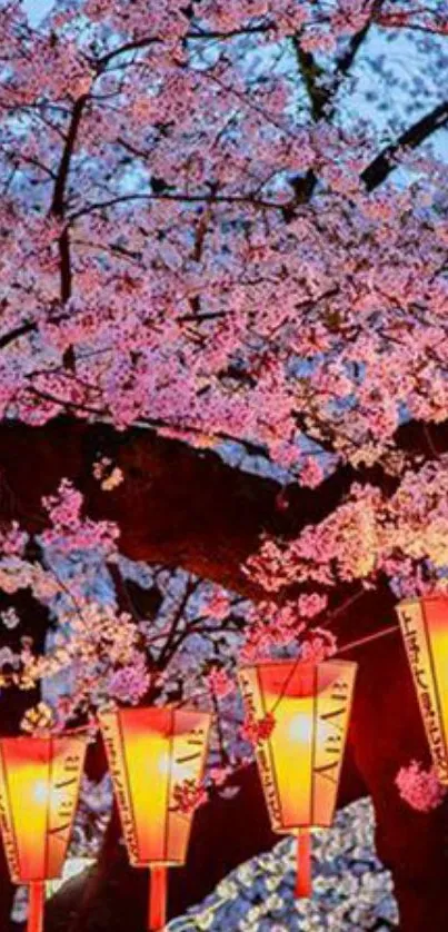 Cherry blossoms and glowing lanterns create a tranquil spring scene.